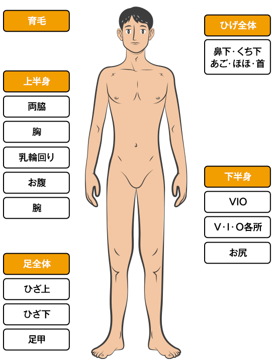 施術コースご案内
