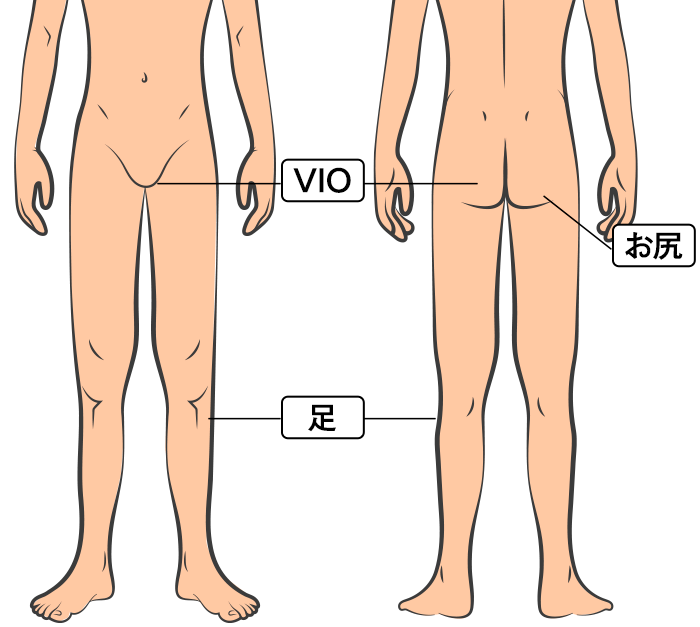 下半身セットプラン