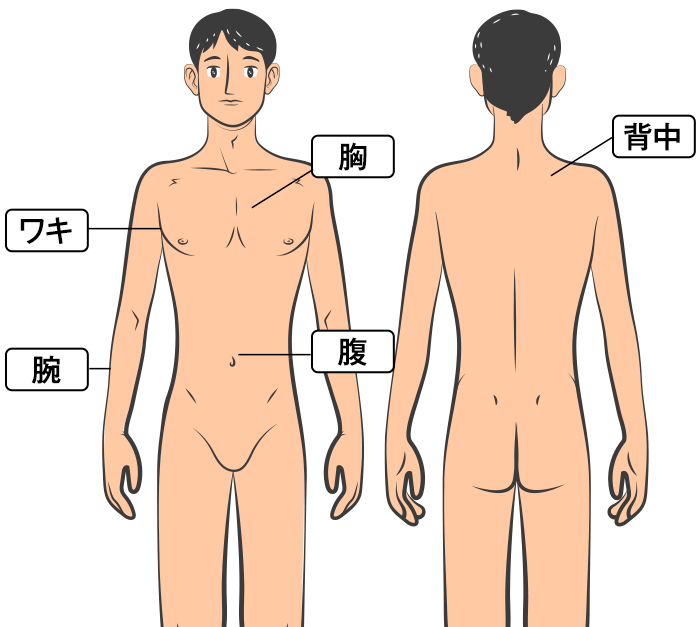 上半身セットプラン